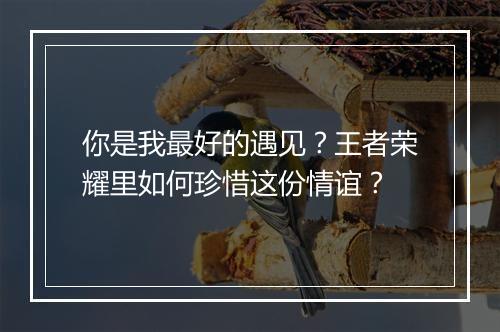 你是我最好的遇见？王者荣耀里如何珍惜这份情谊？