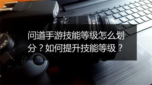 问道手游技能等级怎么划分？如何提升技能等级？