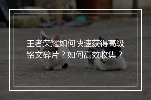 王者荣耀如何快速获得高级铭文碎片?如何高效收集?
