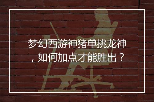 梦幻西游神猪单挑龙神，如何加点才能胜出？