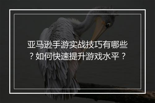 亚马逊手游实战技巧有哪些？如何快速提升游戏水平？