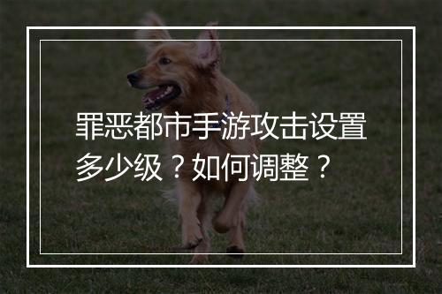 罪恶都市手游攻击设置多少级?如何调整?