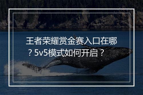 王者荣耀赏金赛入口在哪?5v5模式如何开启?