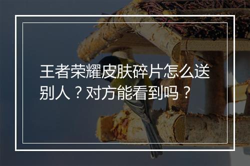 王者荣耀皮肤碎片怎么送别人?对方能看到吗?