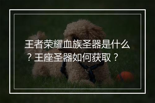 王者荣耀血族圣器是什么?王座圣器如何获取?