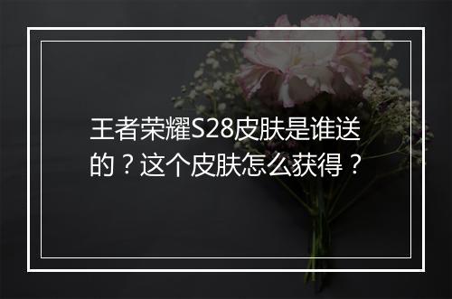 王者荣耀S28皮肤是谁送的?这个皮肤怎么获得?