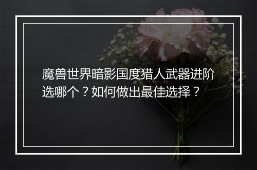 魔兽世界暗影国度猎人武器进阶选哪个?如何做出最佳选择?
