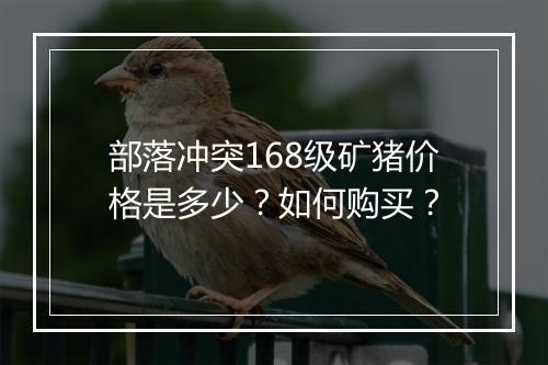 部落冲突168级矿猪价格是多少?如何购买?