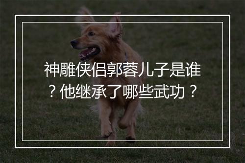 神雕侠侣郭蓉儿子是谁?他继承了哪些武功?