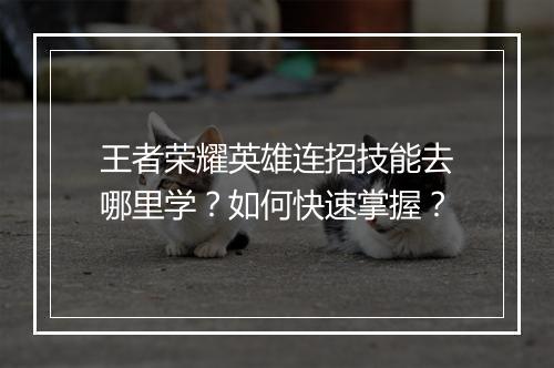 王者荣耀英雄连招技能去哪里学？如何快速掌握？