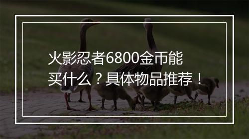 火影忍者6800金币能买什么?具体物品推荐!