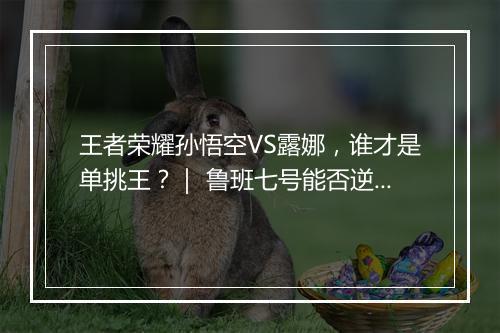 王者荣耀孙悟空VS露娜，谁才是单挑王？｜ 鲁班七号能否逆袭？