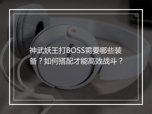 神武妖王打BOSS需要哪些装备？如何搭配才能高效战斗？