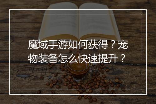 魔域手游如何获得?宠物装备怎么快速提升?