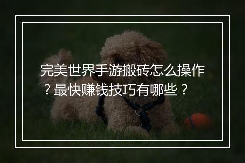 完美世界手游搬砖怎么操作?最快赚钱技巧有哪些?