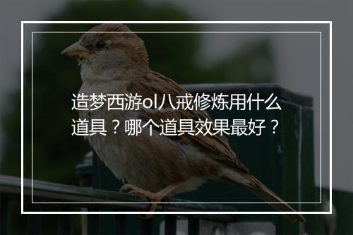 造梦西游ol八戒修炼用什么道具？哪个道具效果最好？