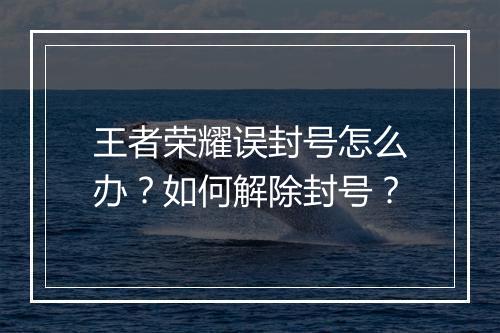 王者荣耀误封号怎么办?如何解除封号?