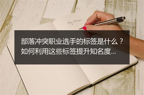 部落冲突职业选手的标签是什么?如何利用这些标签提升知名度?