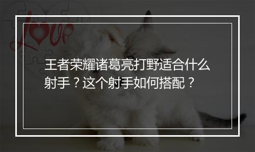 王者荣耀诸葛亮打野适合什么射手？这个射手如何搭配？