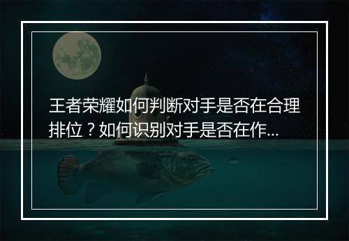 王者荣耀如何判断对手是否在合理排位?如何识别对手是否在作弊?