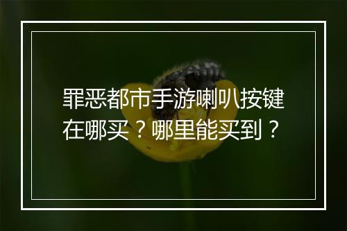 罪恶都市手游喇叭按键在哪买?哪里能买到?