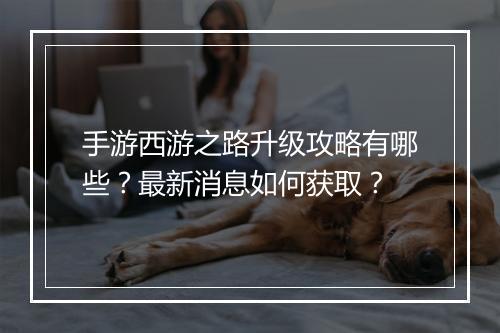 手游西游之路升级攻略有哪些？最新消息如何获取？