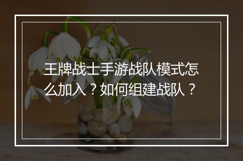 王牌战士手游战队模式怎么加入?如何组建战队?