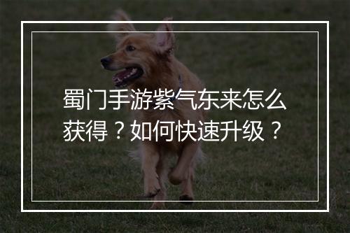 蜀门手游紫气东来怎么获得?如何快速升级?