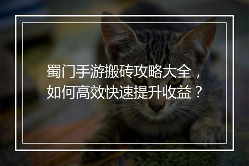 蜀门手游搬砖攻略大全,如何高效快速提升收益?