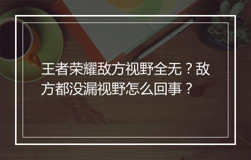 王者荣耀敌方视野全无?敌方都没漏视野怎么回事?