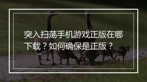 突入扫荡手机游戏正版在哪下载?如何确保是正版?