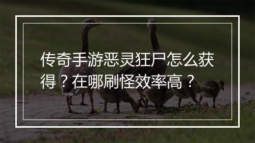 传奇手游恶灵狂尸怎么获得?在哪刷怪效率高?