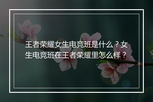 王者荣耀女生电竞班是什么?女生电竞班在王者荣耀里怎么样?