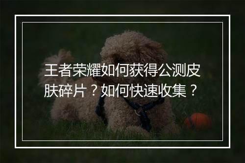王者荣耀如何获得公测皮肤碎片？如何快速收集？