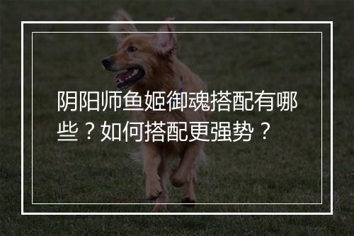 阴阳师鱼姬御魂搭配有哪些?如何搭配更强势?