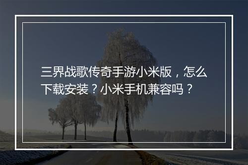 三界战歌传奇手游小米版,怎么下载安装?小米手机兼容吗?