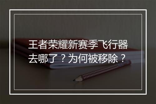 王者荣耀新赛季飞行器去哪了?为何被移除?