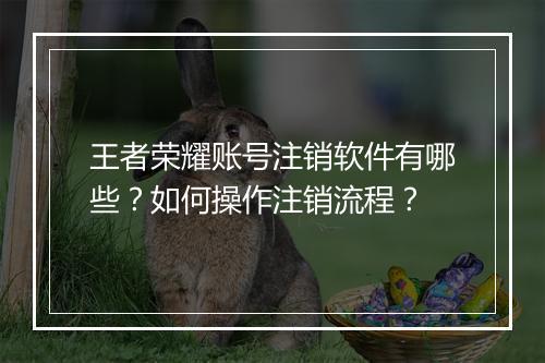 王者荣耀账号注销软件有哪些？如何操作注销流程？