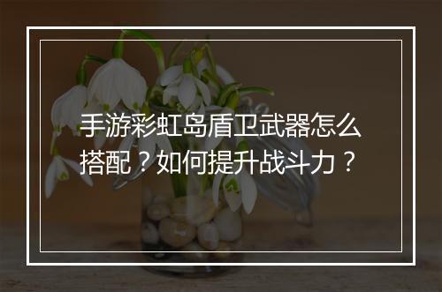 手游彩虹岛盾卫武器怎么搭配?如何提升战斗力?