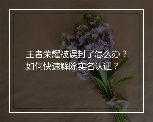 王者荣耀被误封了怎么办?如何快速解除实名认证?