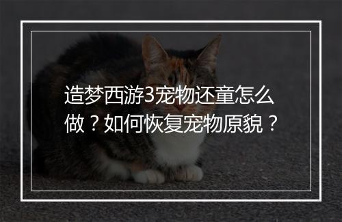 造梦西游3宠物还童怎么做?如何恢复宠物原貌?