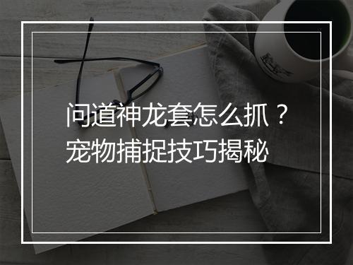问道神龙套怎么抓？宠物捕捉技巧揭秘