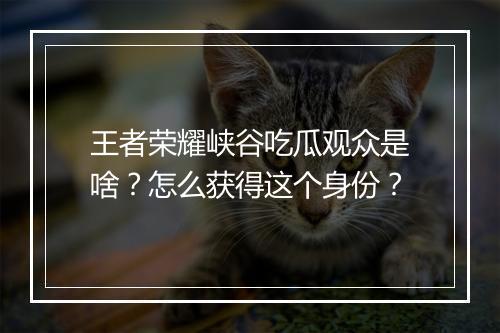 王者荣耀峡谷吃瓜观众是啥？怎么获得这个身份？