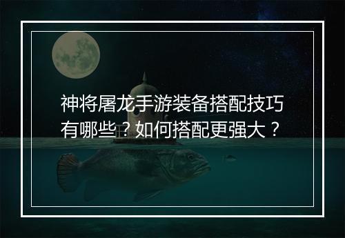 神将屠龙手游装备搭配技巧有哪些？如何搭配更强大？