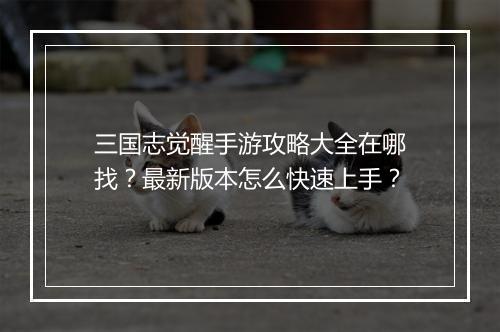 三国志觉醒手游攻略大全在哪找?最新版本怎么快速上手?