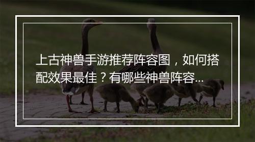 上古神兽手游推荐阵容图,如何搭配效果最佳?有哪些神兽阵容推荐?