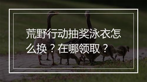 荒野行动抽奖泳衣怎么换?在哪领取?