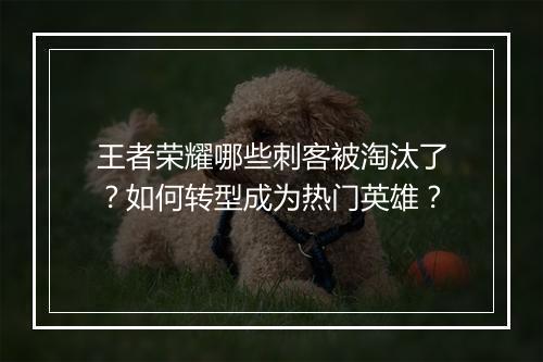 王者荣耀哪些刺客被淘汰了?如何转型成为热门英雄?