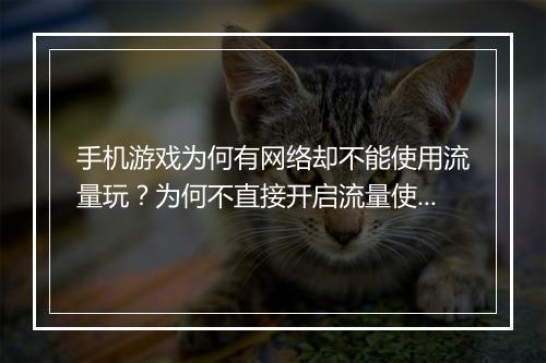 手机游戏为何有网络却不能使用流量玩?为何不直接开启流量使用?