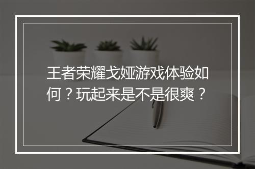 王者荣耀戈娅游戏体验如何?玩起来是不是很爽?